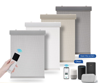 Persiana Enrollable Motorizada con Batería de Litio, Inteligente, para Oficina y Hotel, Protección Solar, Ignífuga, Impermeable, de Fábrica OEM