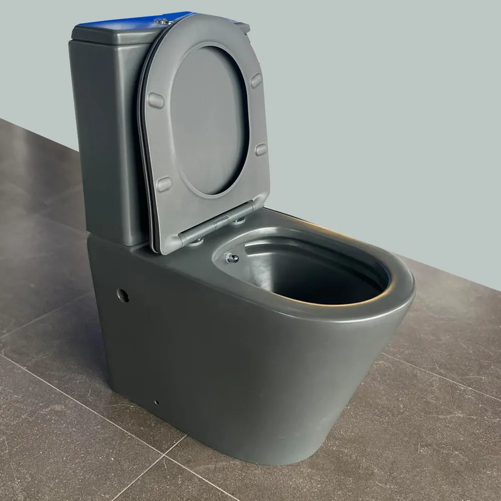 Two piece toilet bathroom ceramic p trap wc dual flush toilet pot coupled tank bidet function wc sanitary ware europe Style bath