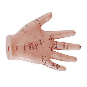 نموذج تدريب الوخز بالإبر اليدوية من ديرين <span class=keywords><strong>DRA</strong></span> بطول 13 سم مصنوع من البلاستيك PVC التشريحي - Product Image 2