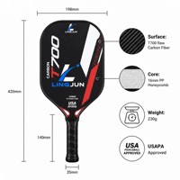 Raquette de pickleball en fibre de carbone brute Lingjun T700, noyau en nid d'abeille de 16 mm, norme USAPA, raquette professionnelle pour l'entraînement et le divertissement, logo personnalisé