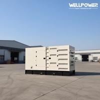 Génératrices Diesel de Marque en Promotion 10kw 20kw 24kw 30kw 40kw 50kw 60kw 80kw 100kw 160kw 200kw avec Moteur CCESCummins UKPerkins