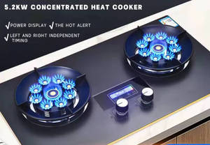 印度招聘经销商热卖双燃烧器燃气便携式炉灶 - Product Image 5