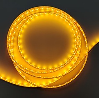 Bande lumineuse LED intelligente dorée 60 LED/m, IP65, 8 mm, cuivre, télécommande, DC12V, pour décoration