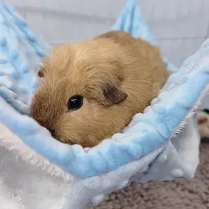 Cavia Honingzak Groeide Warm Katoenen Nest Herfst En Winter Kooi Eekhoorn Slaaphangmat Klein Huisdier