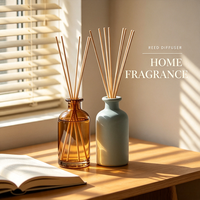 Bouteille vide pour diffuseur à bâtonnets, huile parfumée pour la maison, parfum personnalisé, diffuseur à bâtonnets liquide longue durée pour l'arôme domestique