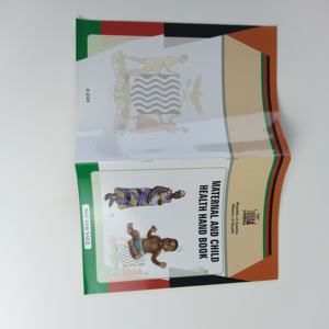 Impression offset couleur, brochure agrafée, catalogue de produits d'entreprise, impression de brochures - Product Image 5