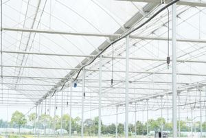 Sistema de riego de invernadero Jiapei, pulverización de niebla <span class=keywords><strong>al</strong></span> <span class=keywords><strong>revés</strong></span>, riego por microspray - Product Image 6