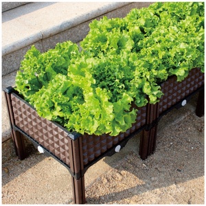 Kits de Propagation Modernes Carrés en Plastique pour Jardinières de Sol, Pots de Légumes et Mobilier de Jardin – Vente en Gros pour Fournisseurs de Jardin - Product Image 3