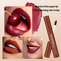 MEIDIAN OEM ODM OBM Marque Privée Maquillage Nouveau Design Cosmétiques pour les Lèvres Rouge à Lèvres Repulpant Longue Durée Brillant à Lèvres Personnalisable