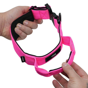 Hochleistungs-Metallschnallen-Haustier halsband, strap azier fähiges, verstellbares, mit Nylon gepolstertes Halsketten-Hunde trainings halsband mit Griff - Product Image 3