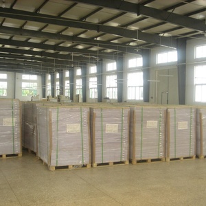 กระดาษเคลือบผิวบางเบา LWC 64 แกรม 70 แกรม 80 แกรม แบบแผ่นหรือแบบม้วน - Product Image 5