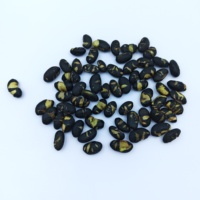 Grands Snacks de Soja Noir Premium Non Frits, Grillés au Goût Salin, pour Supermarchés et Détaillants Mondiaux