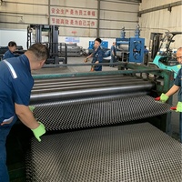 Maille métallique perforée en acier inoxydable recouverte de PVC, anti-corrosion, avec services de découpe et de soudage