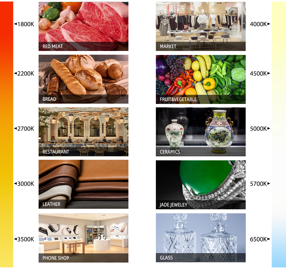 ค้นหาฝ่ายบริการลูกค้า