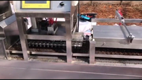 Semoir automatique pour légumes, plateau de remplissage rapide, 750 plateaux/horloge, très bon marché