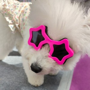 Gafas de Sol para Perros y Gatos, Protección UV, Montura Rosa en Forma de Estrella, Correa Ajustable, para Cachorros Pequeños, Venta al Por Mayor - Product Image 2