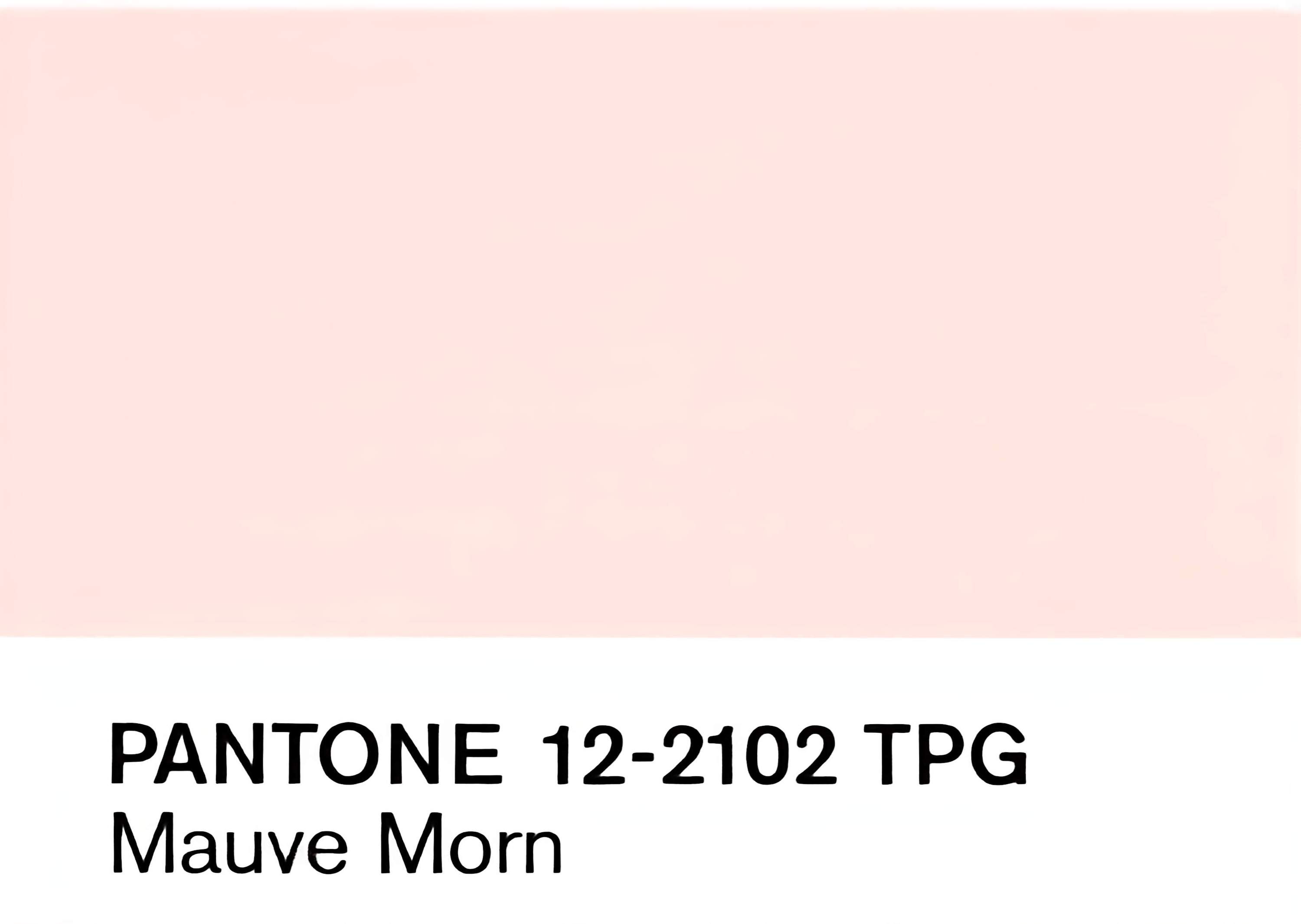 Matin mauve