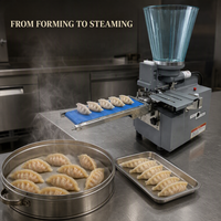 Machine à Gyoza Semi-Automatique de Table Japonaise Mini Format 110V/220V pour la Fabrication de Dumplings Frits, Momos, Samosas et Empanadas – Idéale pour les États-Unis