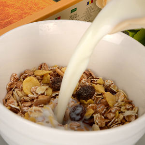 乳糖不耐症の人に適した粉乳 - Product Image 6