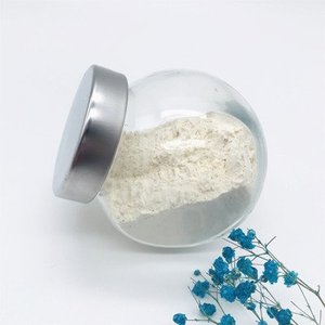 Polvo de Arroz Proteico Integral a Granel con Muestra Gratis - Product Image 5