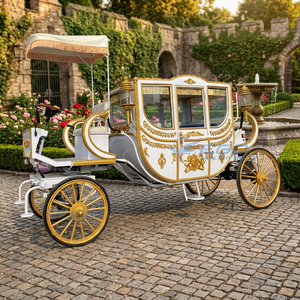 Calèche royale électrique Cendrillon en acier, pneus en caoutchouc massif personnalisés de haute qualité - Product Image 1