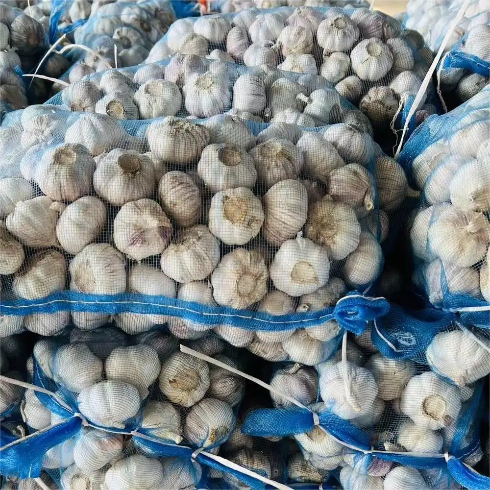 Çin sarımsak toptan fiyat doğrudan ihracat sarımsak mor cilt marine tatlı ve ekşi şimdi çiftlik taze sarımsak kazmak