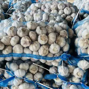China Knoblauch Großhandelspreis Direktexport Knoblauch lila Haut mariniert süß und sauer jetzt graben Bauernhof frischer Knoblauch