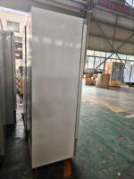 Congélateur vertical industriel à porte vitrée pour supermarché, à température unique, à refroidissement par air, pour produits surgelés, fruits de mer, viande et crème glacée