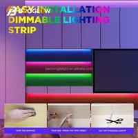 RGB 784LEDs/m 24V Magic Color Smart Addressable COB LED Strip 12mm 71.5mm Dapat Dipotong 18W/M 5m/roll 100LM Lampu Strip LED