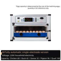 Nouvel incubateur commercial pour 128 œufs |   Incubateur entièrement automatique à cadre en PVC avec un taux d'éclosion de 96% 220V pour œufs de poulet