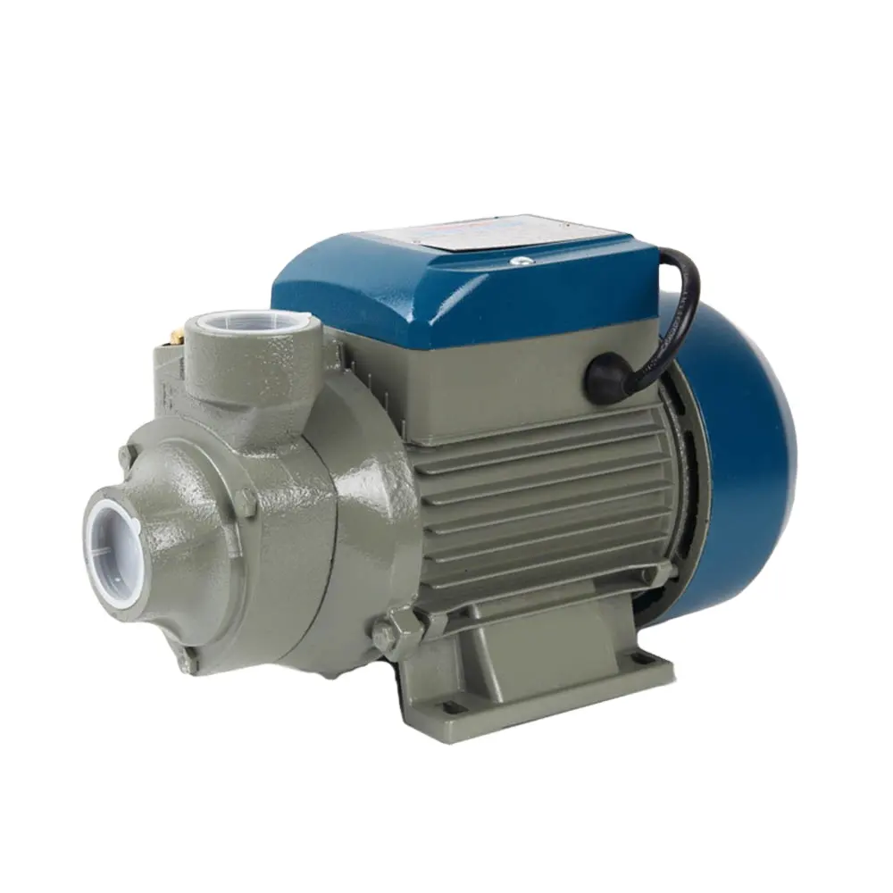 RUIQI Low-priced High Quality 2023 product garden/irrigation/agriculture RTS water pump QB60/30 bomba de agua 1/2 hp pump water