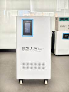 Stabilisateur de tension triphasé 40 kVA à enroulement en cuivre TNS CE ISO pour petite usine de transformation alimentaire mexicaine - Product Image 6