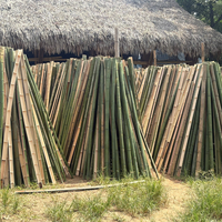 Bac d'irrigation en bambou pour jardin, longueur 2100 cm et diamètre 2,1 m, pour une agriculture écologique