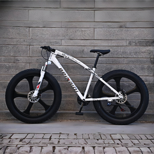 Vélo tout-terrain à pneus larges de 26 pouces pour adultes, 7 vitesses, frein à disque, suspension, pédale ordinaire, fourche en acier, vente chaude - Product Image 2