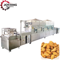 Séchoir industriel à micro-ondes pour noix de cajou Stérilisateur d'amandes et de noix Machine de stérilisation des noix de pin à la pistache
