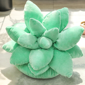 Mignon 3D Succulent Cactus Décor Tissé Coussins Feuille En Peluche Coussin Plante En Forme 100% Polyester Amovible Lavable Décoration - Product Image 1
