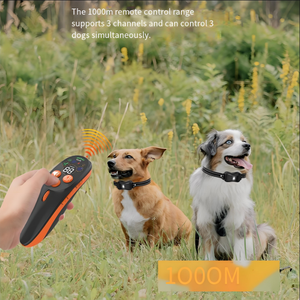<span class=keywords><strong>1000M</strong></span> IP67 Có Thể Sạc Lại Pet Huấn Luyện Viên Con Người Không Thấm Nước Từ Xa Điều Khiển Điện Pet <span class=keywords><strong>Dog</strong></span> Đào Tạo - Product Image 6