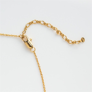 Ins Stijl Eenvoudige Maansteen Achthoekige Diamond Ketting 18K Vergulde Modieuze Hanger Ketting - Product Image 4