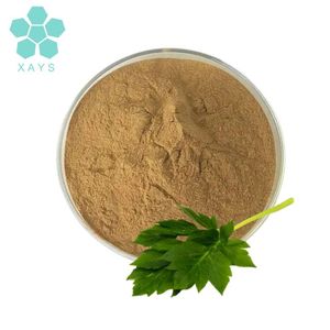 アンジェリカケイスケイパウダー工場供給アンジェリカケイスケイアシタバ葉エキスパウダー - Product Image 2