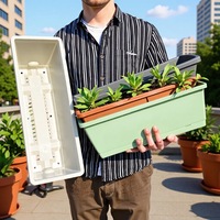 Nouvelle jardinière Holun, pot rectangulaire en plastique, idéal pour la culture de légumes et la plantation de plantes succulentes à la maison