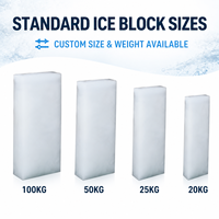 Machine à fabriquer des blocs de glace industrielle ICEMA, grande capacité 1T~20T/24H, refroidissement direct, nouvelle, compresseur de stockage de 50 kg, moteur principal, vente en usine