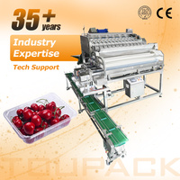 Automatische 12-14-kops multihead weegschaal fruitverpakkingslijn met doosafzetmachine en machine voor het vullen en verpakken van tomaten in trays