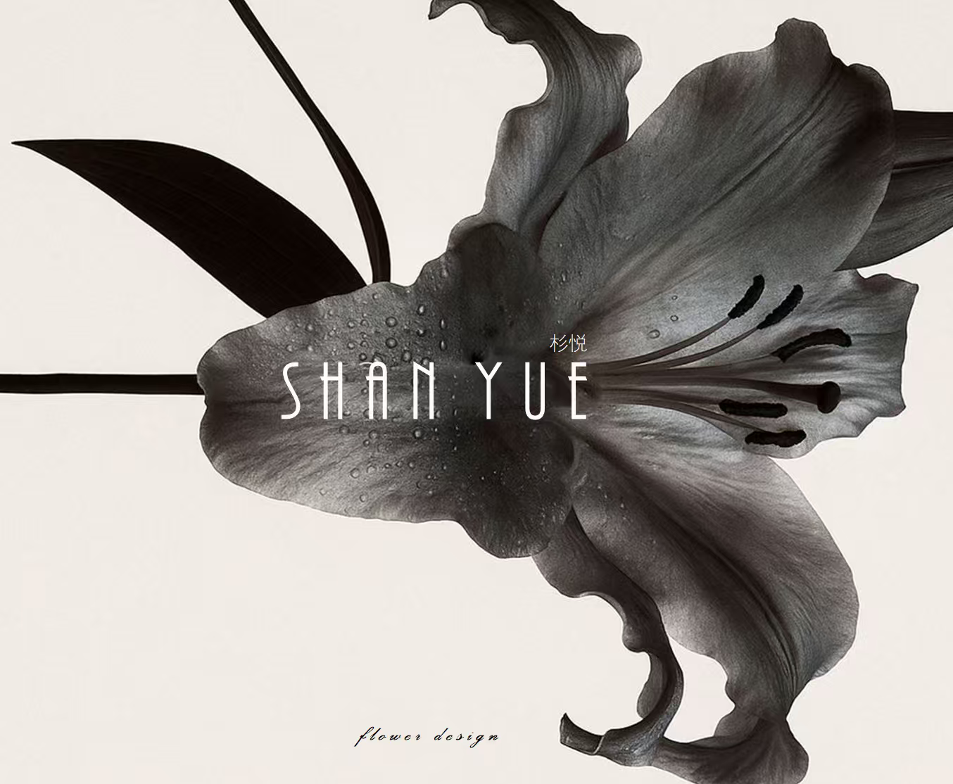 Changsha Shanyue Import And Export Co., Ltd. logo