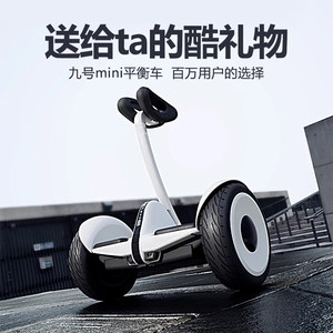 Trottinette électrique auto-équilibrante Ninebot L8, moteur de moyeu de 10 pouces, guidon réglable, autonomie de 20 à 30 km - Product Image 2