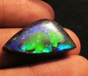 Canadien naturel Ammolite Forme Libre Cabochons Pierres Précieuses En Vrac - Product Image 5