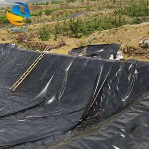 Revêtement de géomembrane HDPE texturé de conception industrielle, surface antidérapante pour couverture de décharge en pente, revêtement d'étang, approvisionnement direct en usine - Product Image 4