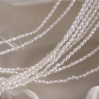 2.5-3mm petite taille perles de riz perles d'eau douce brin lâche pour la fabrication de bijoux collier Bracelet boucles d'oreilles