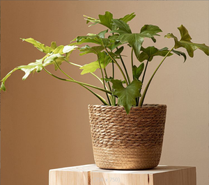 Round Woven Seagrass Hanging <strong>Plant</strong> Flower Pot Water Hyacinth Storage <strong>Basket</strong> <strong>for</strong> Outdoor - Product Image 6