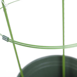 Piquets de support de plantes à hauteur réglable-Cultivez avec vos plantes Tomate Poivre Fleur USA Warehouse - Product Image 4