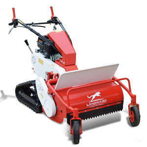 Tondeuse autoportée à faible consommation de carburant, désherbeuse de jardin et broyeur de paille, la moins chère, avec certification CE EPA, à vendre pour le jardin - Product Image 1